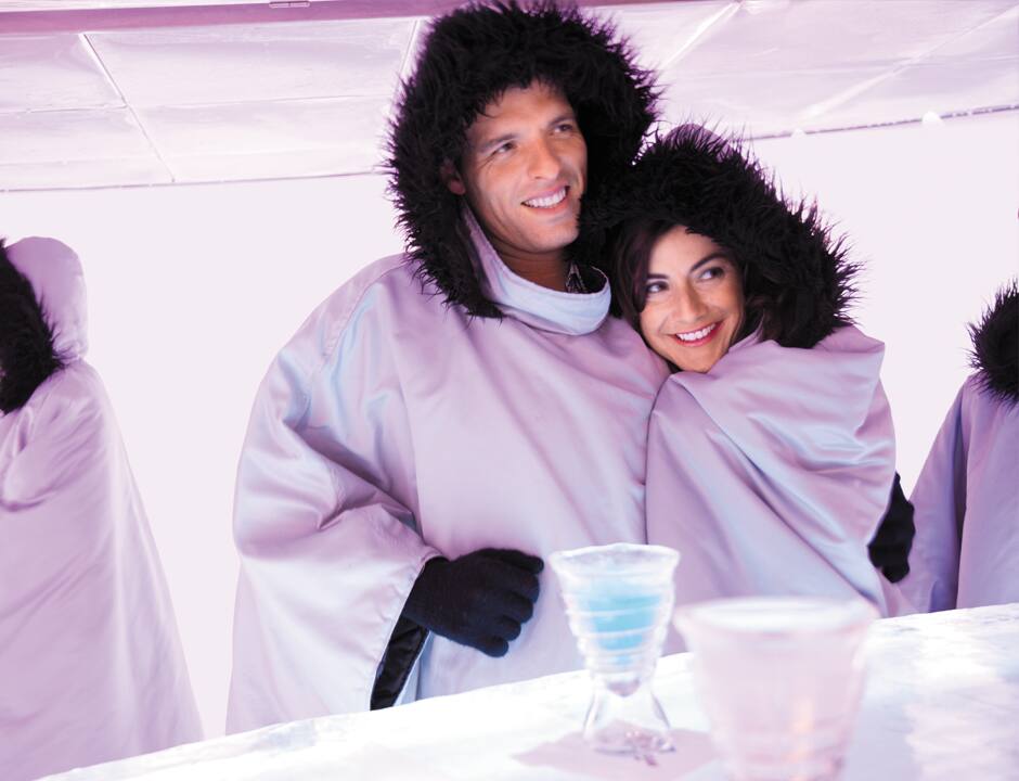 SKYY® Vodka Ice Bar