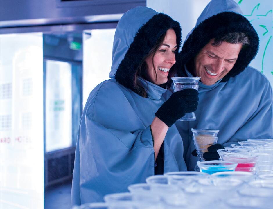 Skyy® Vodka Ice Bar