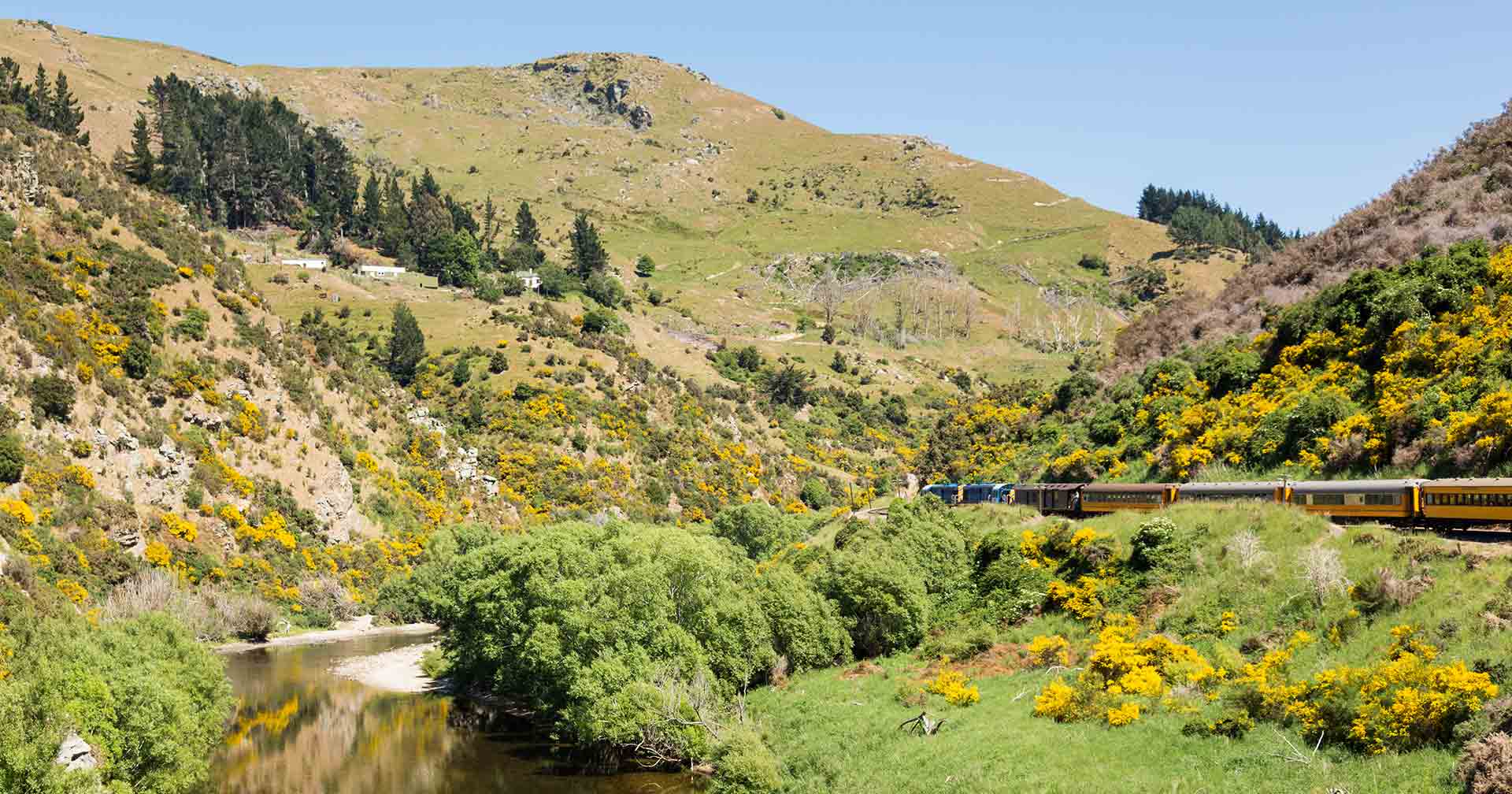 The Taieri Gorge Railway Experience