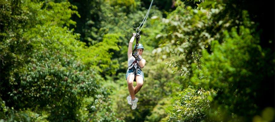 Ziplining  on a Panama Canal cruise