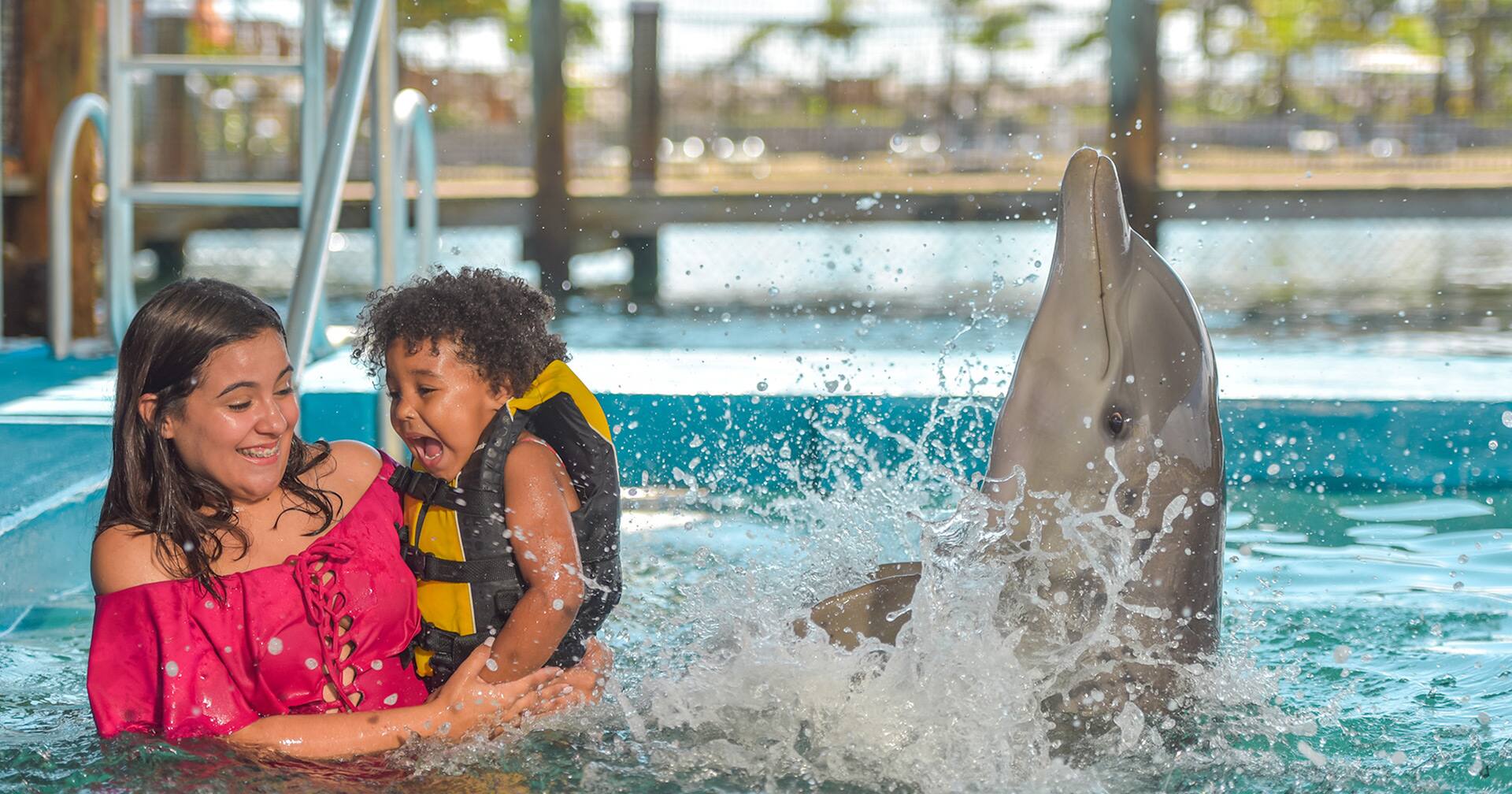 Dolphin Encounter & Ocean World Adventure