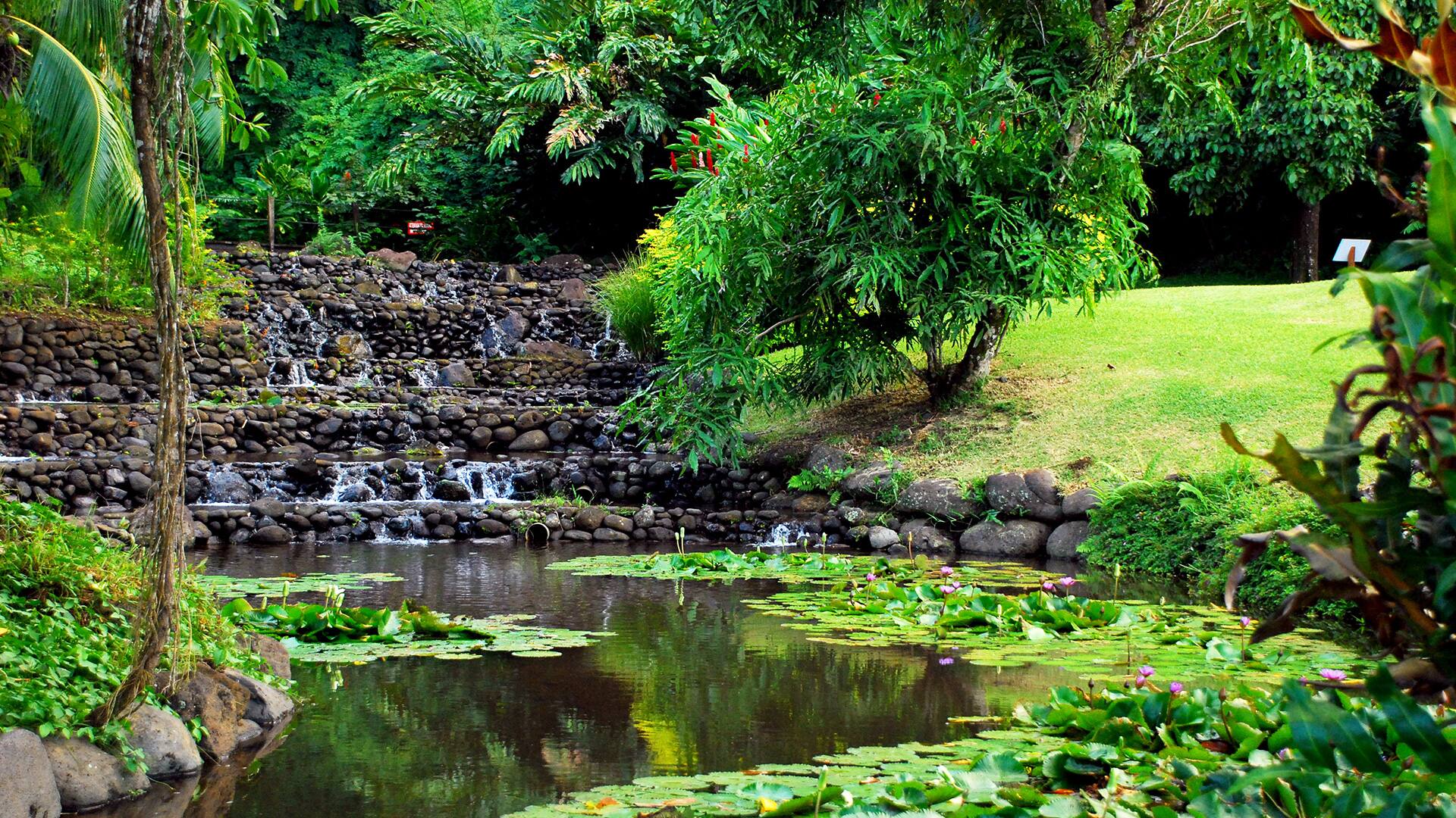 Discover Tahiti's West Coast (Debark Tour)