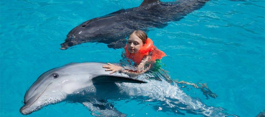 Dolphin Encounter on Puerto Vallarta cruises