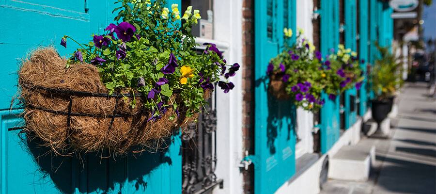 Beautiful buildings on your New Orleans cruise