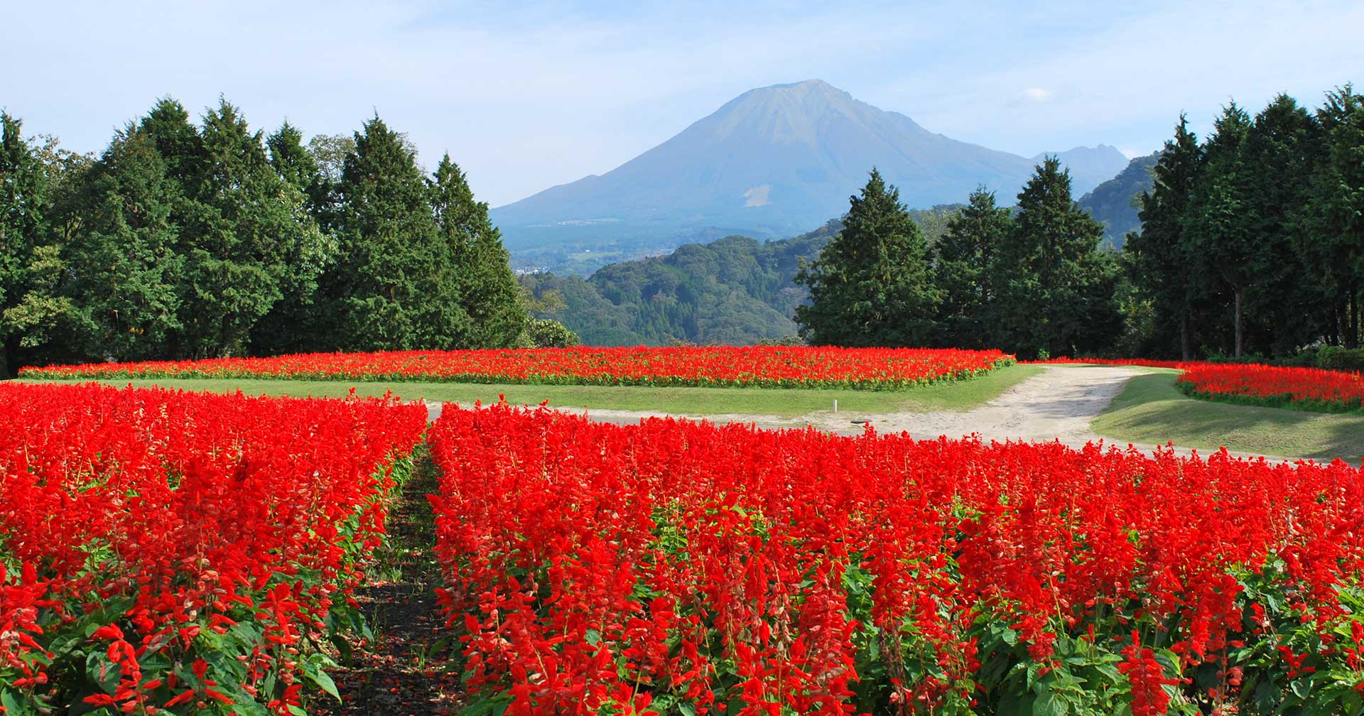 Tottori Flower Park & Views