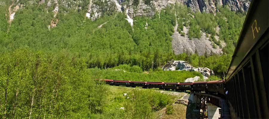 Alaskan Railroad on a Skagway cruise