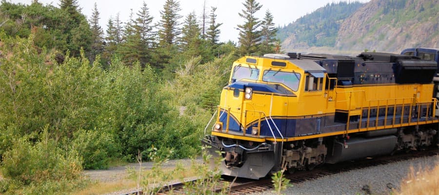 Visit Kenai Peninsula on your Alaska cruise