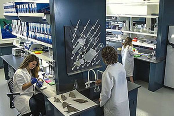 Guy Harvey Research Institute