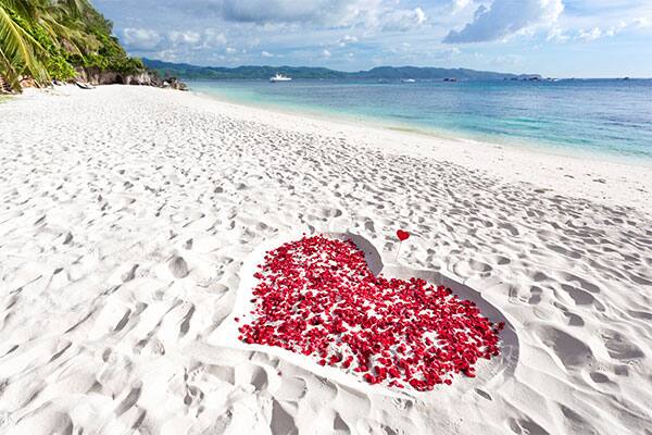 Top 3 Cruise Proposals