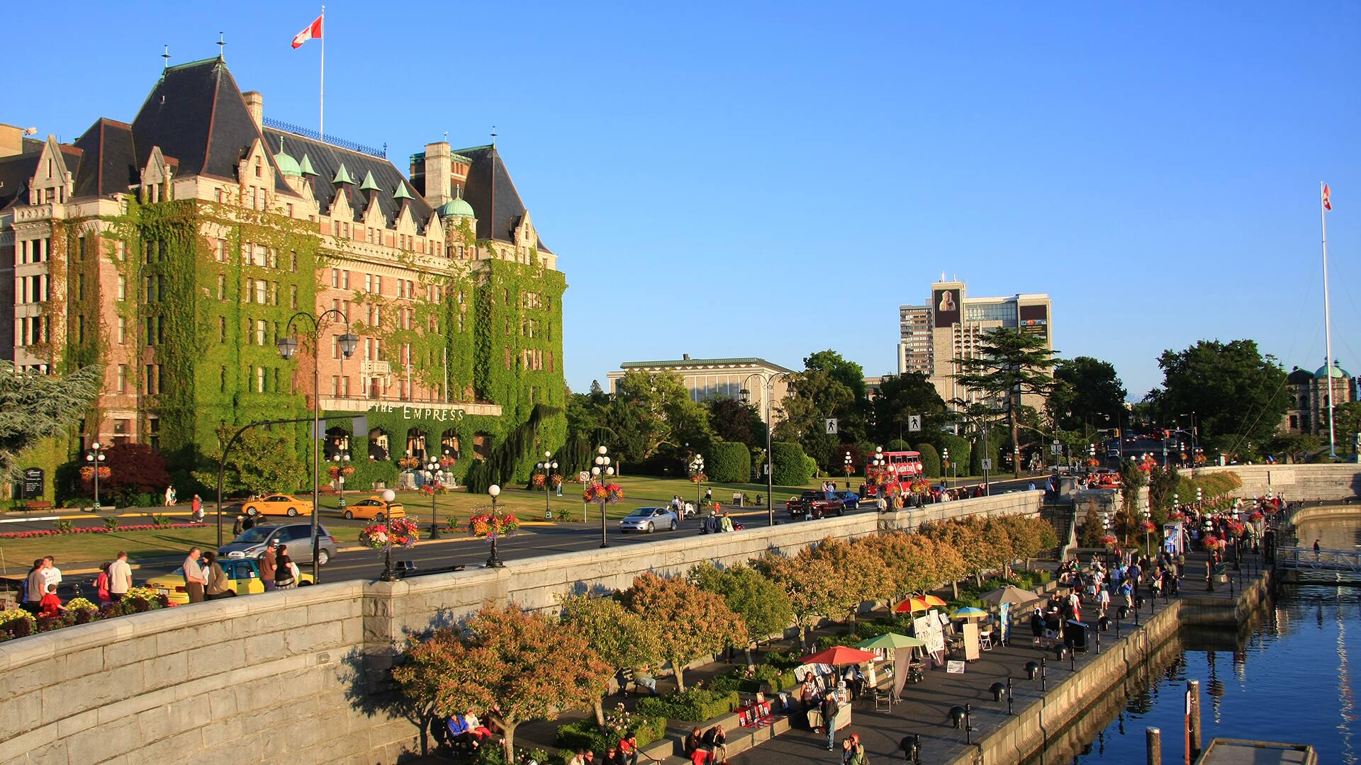 O Canada Night Lights with Timbits®