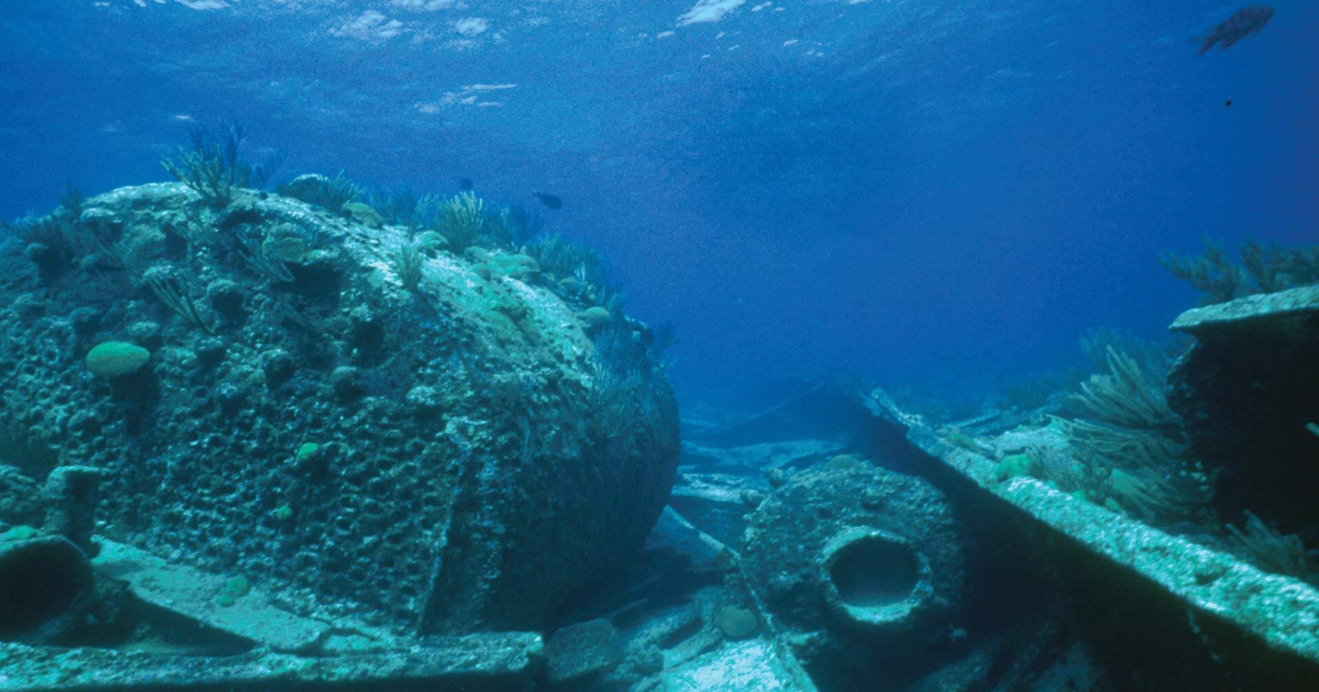 Bermuda Triangle Evening Cruise
