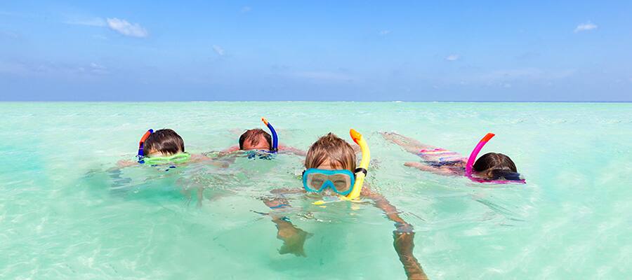Snorkel in one of Bermuda's beaches