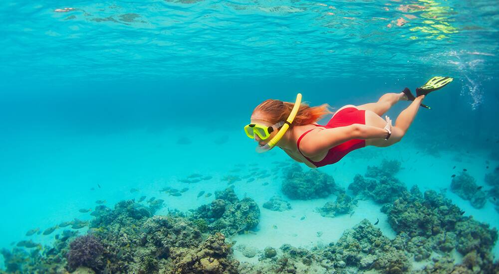 Snorkeling in Roatan