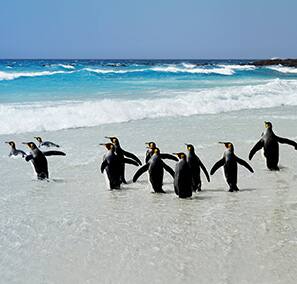 South America Cruises | South America Cruise Deals