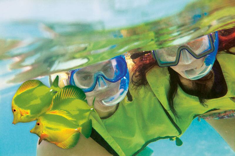 Enjoy Snorkeling in Great Stirrup Cay, Norwegian's Private Island
