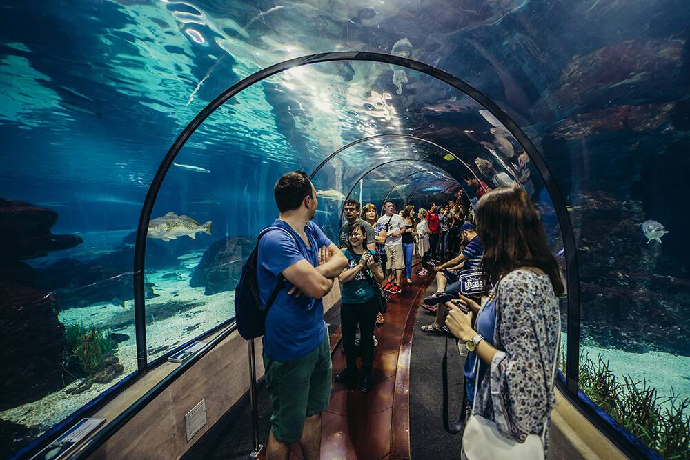 Barcelona Aquarium