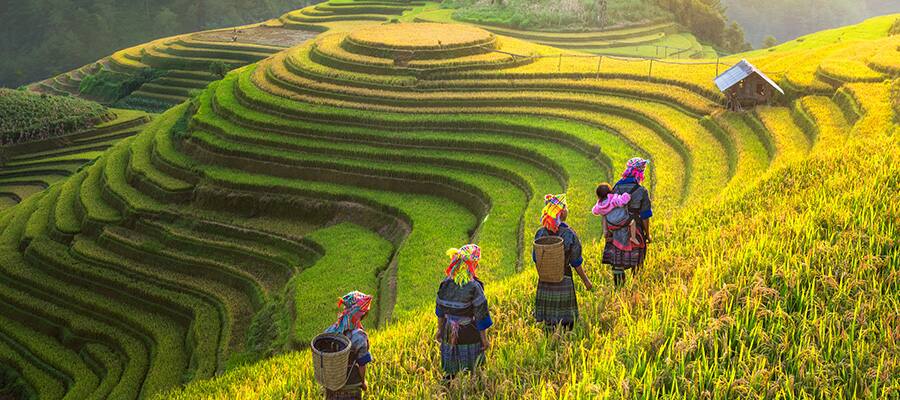 Cruise to Vietnam