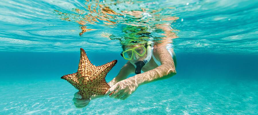 Caribbean Cruises