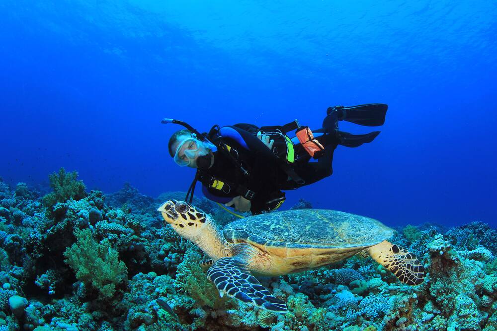 Top Things to Do in Cozumel on a Cruise