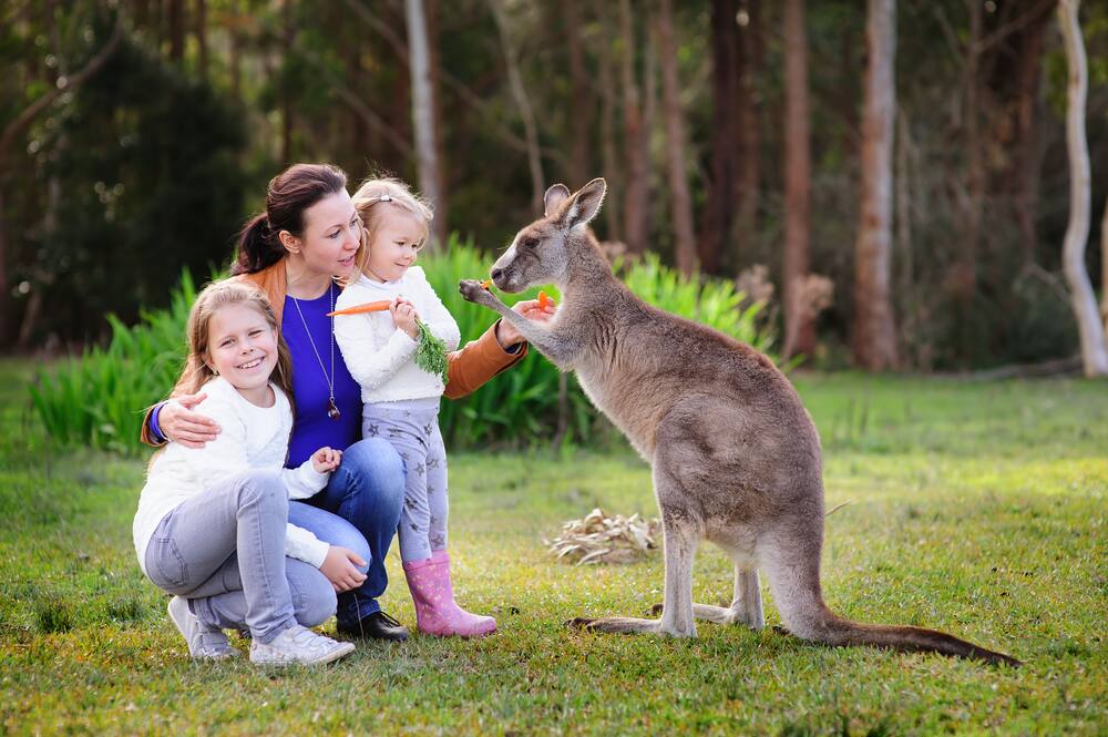 Experience Life in the Outback on an Australia Cruise with Norwegian