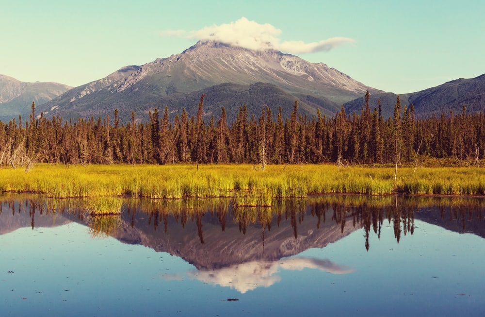Summer in Alaska Summer in Alaska
