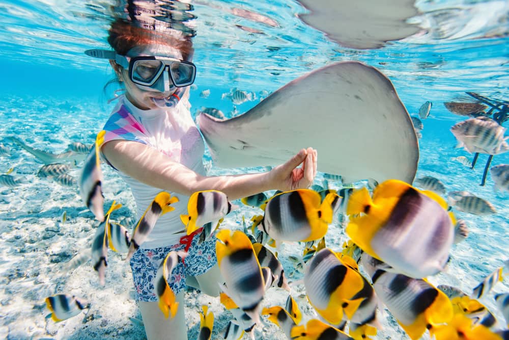 Snorkeling in the Bahamas Enjoy Snorkeling in the Bahamas on a Cruise to Nassau with Norwegian