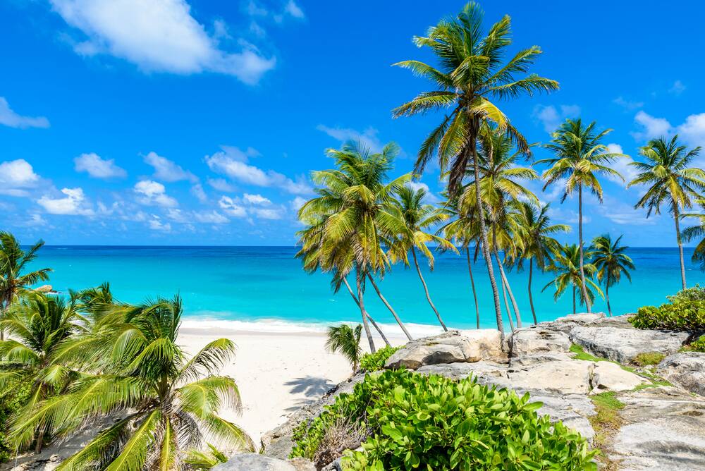 Book a Caribbean Cruise with Norwegian