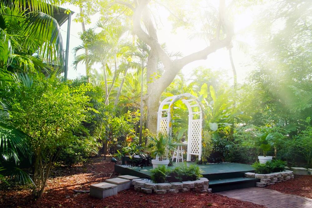 Visit the Ernest Hemingway Home on a Cruise to Key West